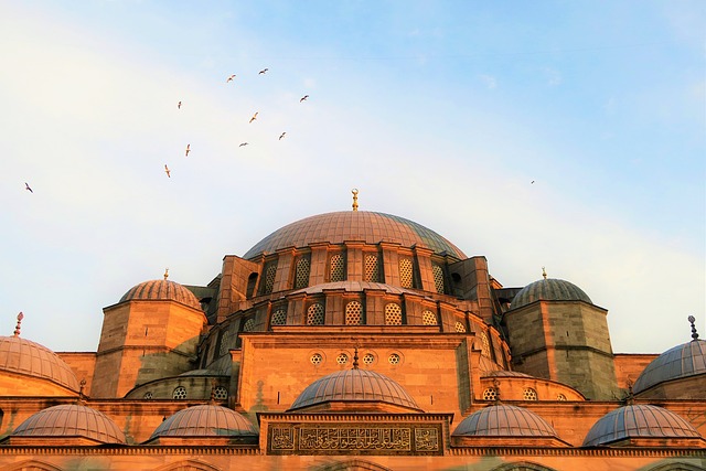 Şırnak İstanbul Arası Uçak Bileti Kaç Para?