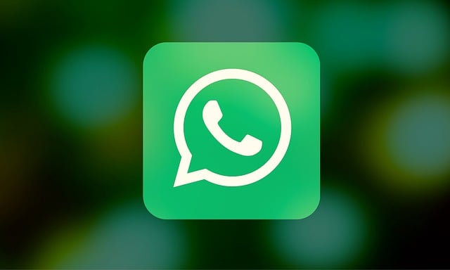 Whatsapp Durum Videoları Nereye Kaydediyor?